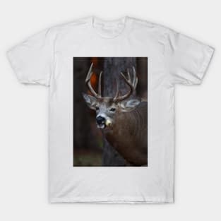 Gotta love corn - White-tailed Deer T-Shirt